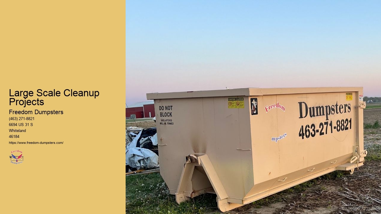 Portable Dumpster Rental
